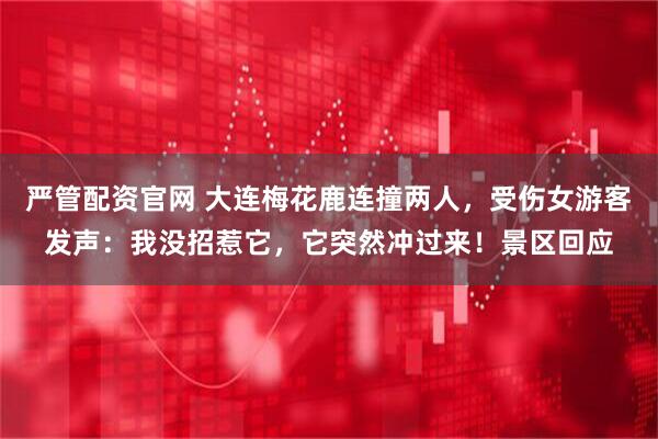 严管配资官网 大连梅花鹿连撞两人，受伤女游客发声：我没招惹它，它突然冲过来！景区回应