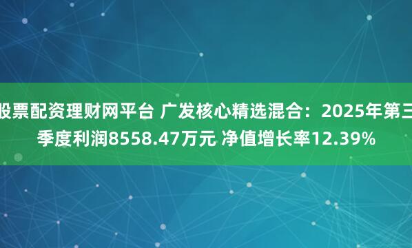 股票配资理财网平台 广发核心精选混合：2025年第三季度利润8558.47万元 净值增长率12.39%