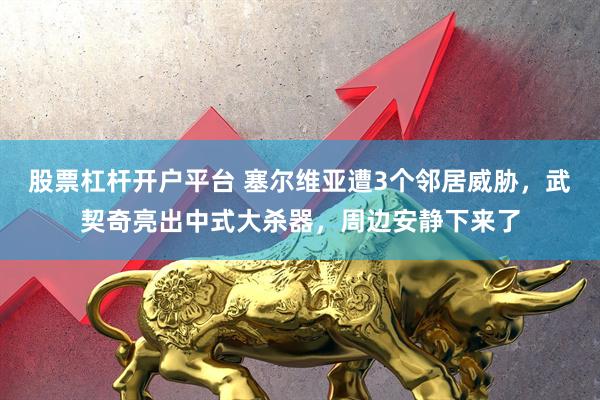 股票杠杆开户平台 塞尔维亚遭3个邻居威胁，武契奇亮出中式大杀器，周边安静下来了