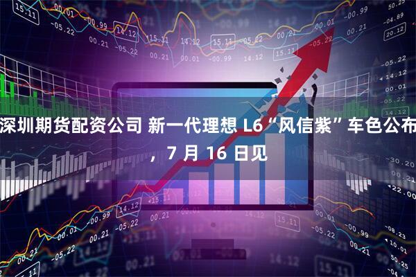 深圳期货配资公司 新一代理想 L6“风信紫”车色公布，7 月 16 日见